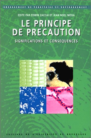 Stock image for Le principe de prcaution : significations et consquences for sale by Ammareal