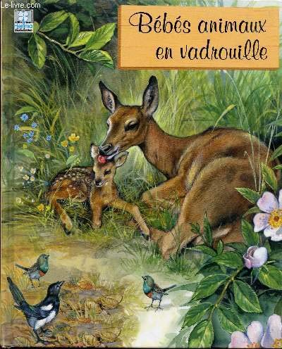 Bébés animaux en vadrouille