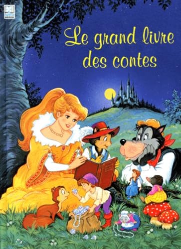 Stock image for Le grand livre des contes for sale by Ammareal