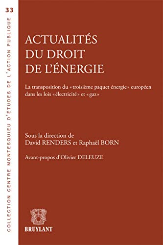 Stock image for Actualit s du droit de l' nergie : La transposition du for sale by Le Monde de Kamlia
