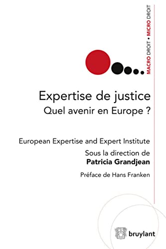 Beispielbild fr Expertise de justice: Quel avenir en Europe ? (Macro droit / Micro droit) zum Verkauf von Buchpark