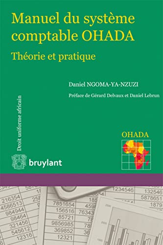 9782802749349: Manuel du systme comptable OHADA: Thorie et pratique