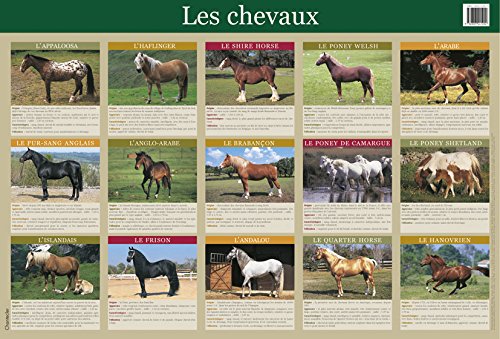 9782803441204: Poster Les chevaux