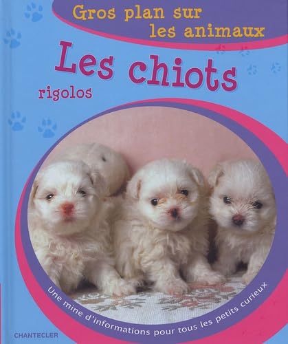 Imagen de archivo de Les chiots rigolos a la venta por Ammareal