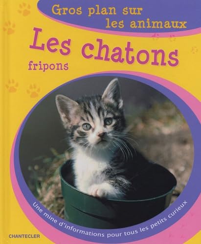 Beispielbild fr Les chatons fripons zum Verkauf von Ammareal