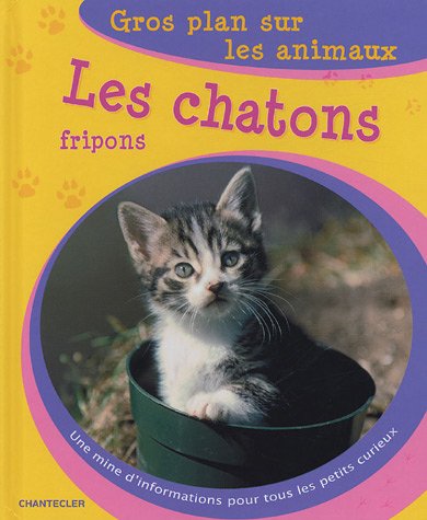 Stock image for Les chatons fripons for sale by Ammareal