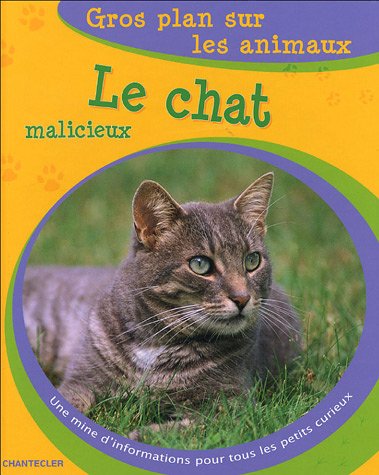 Beispielbild fr Le chat malicieux zum Verkauf von Ammareal