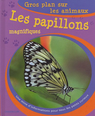 Stock image for Les papillons magnifiques : une mine d'informations pour tous les petits curieux for sale by LeLivreVert
