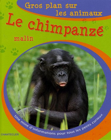 9782803444526: Gros plan sur les animaux Le chimpanz malin: Une mine d'informations pour tous les petits curieux.