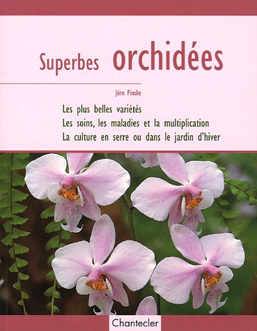 Stock image for Superbes orchides for sale by Ammareal