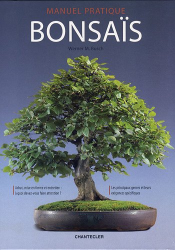 Stock image for Bonsas : Manuel Pratique for sale by RECYCLIVRE