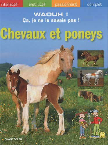 Beispielbild fr Chevaux et poneys zum Verkauf von Ammareal