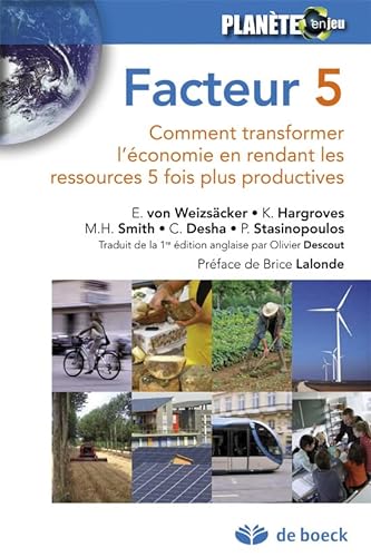 Stock image for Facteur 5: Comment transformer l'conomie en rendant les ressources 5 fois plus productives (2013) for sale by Ammareal
