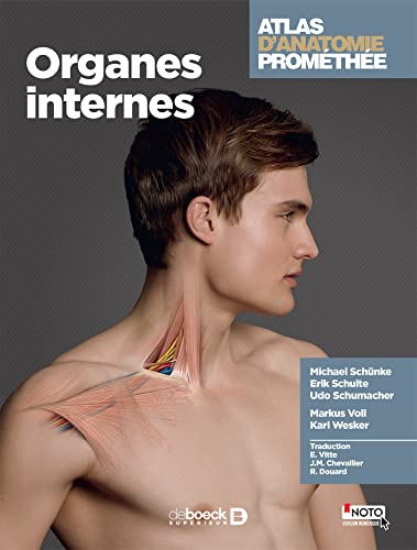 Beispielbild fr Atlas d'anatomie Promthe: Organes internes zum Verkauf von Gallix