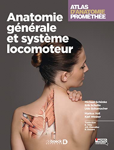 Beispielbild fr Atlas d'anatomie Promthe: Anatomie gnrale et systme locomoteur zum Verkauf von Gallix