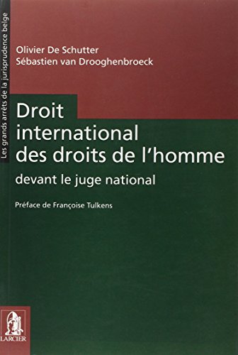 Beispielbild fr DROIT INTERNATIONAL DES DROITS DE L'HOMME DEVANT LE JUGE NATIONAL zum Verkauf von Gallix