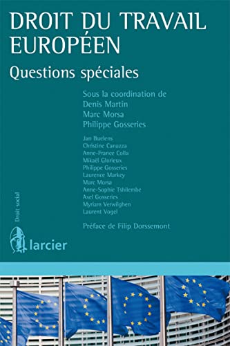 Stock image for Droit du travail europen : Questions spciales for sale by Revaluation Books