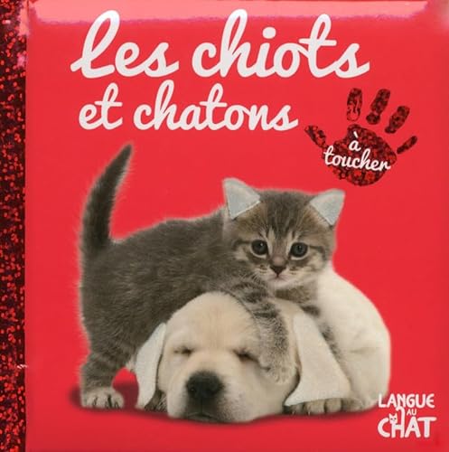 Stock image for B b touche--tout Les chiots et chatons - tome 5 (5) for sale by WorldofBooks