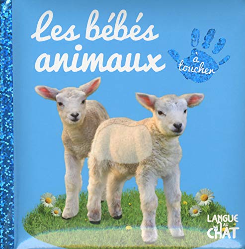 Beispielbild fr Bb touche  tout - Les bbs animaux zum Verkauf von Ammareal