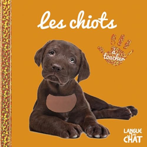 9782806308177: Les chiots (Bb touche--tout)