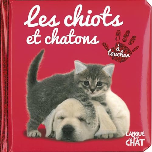 Beispielbild fr Bb touche--tout - Les chiots et chatons zum Verkauf von medimops