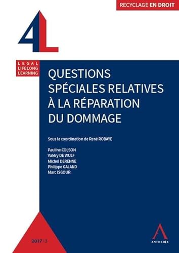 Stock image for QUESTIONS SPECIALES RELATIVES A LA REPARATION DU DOMMAGE ROBAYE RENE for sale by BIBLIO-NET