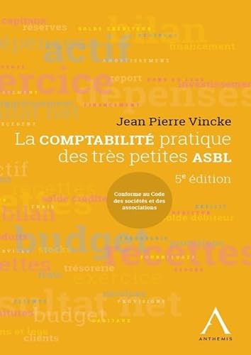Stock image for La comptabilit pratique des petites ASBL [Broch] Vincke, Jean-Pierre for sale by BIBLIO-NET