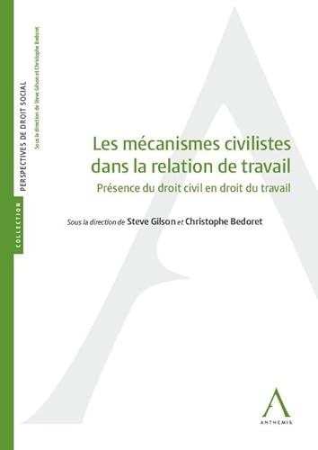 Stock image for Les mcanismes civilistes dans la relation de travail: Prsence du droit civil en droit du travail for sale by Gallix