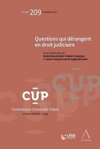 Stock image for Questions qui drangent en droit judiciaire (Tome 209) for sale by medimops