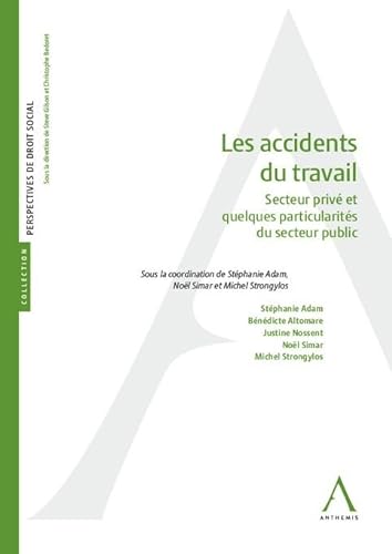 Stock image for Les accidents du travail: Secteur priv et quelques particularits du secteur public for sale by Gallix