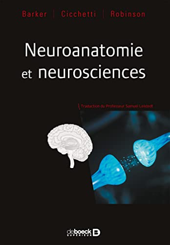 Beispielbild fr Neuroanatomie et neurosciences zum Verkauf von medimops
