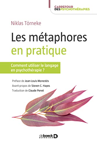 Stock image for Les mtaphores en pratique : Comment utiliser le langage en psychothrapie ? for sale by Revaluation Books