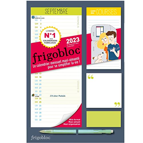 Frigobloc 2021 Mensuel - Calendrier d'organisation familiale par mois (de  sept 2020 à décembre 2021): Adrien Siroy: 9782809670509: : Books