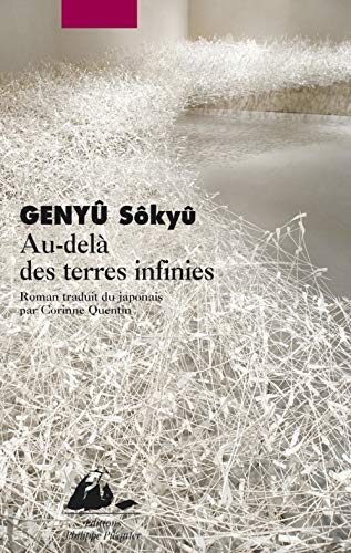 9782809700145: Au-del des terres infinies