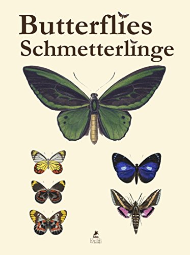 Butterflies / Schmetterlinge - Lucas, Pierre Hippolyte