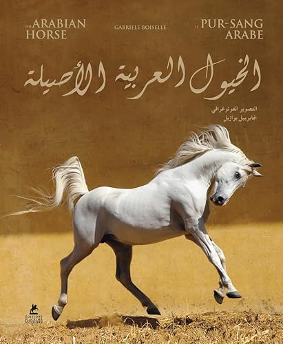 Stock image for The Arabian horse for sale by Chapitre.com : livres et presse ancienne