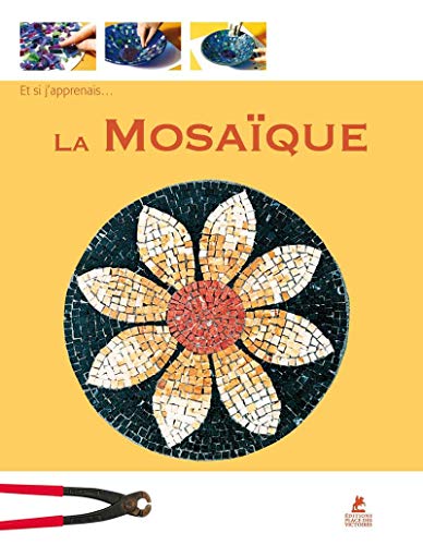 Stock image for Et si j'apprenais. La mosaique for sale by Le Monde de Kamlia
