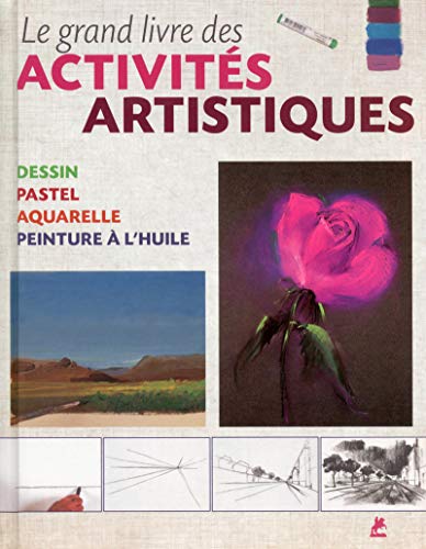 Stock image for Le grand livre des activits artistiques for sale by medimops
