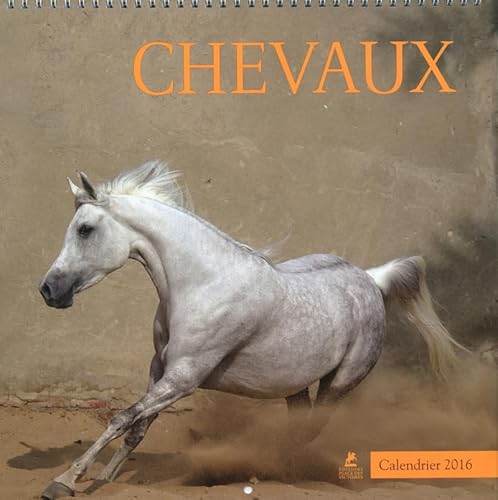 Beispielbild fr Chevaux Calendriers 2016 Collectif zum Verkauf von BIBLIO-NET