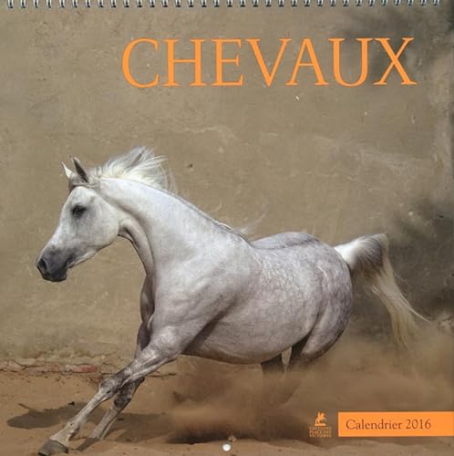 Stock image for Chevaux Calendriers 2016 Collectif for sale by BIBLIO-NET
