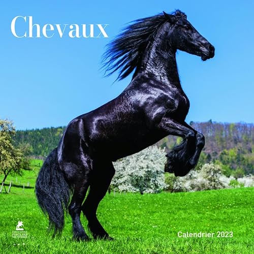 Stock image for Chevaux - Calendrier 2023 for sale by medimops