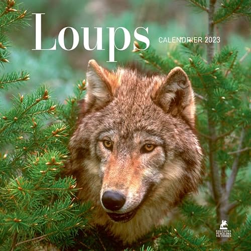 Stock image for Loups - Calendrier 2023 for sale by medimops