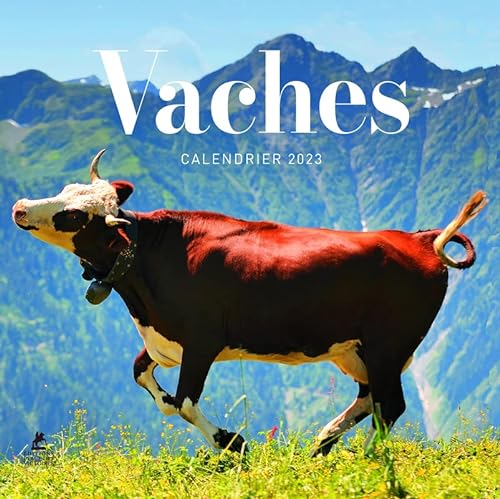 Beispielbild fr Vaches - Calendrier 2023 zum Verkauf von medimops