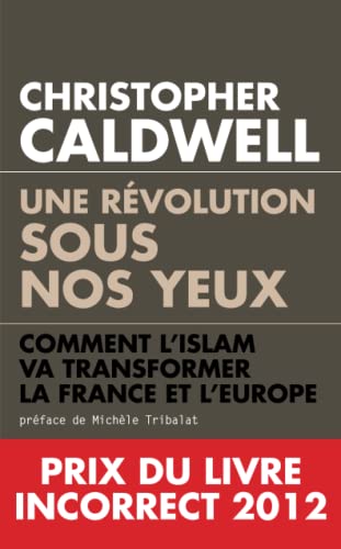 Beispielbild fr Une Rvolution Sous Nos Yeux : Comment L'islam Va Transformer La France Et L'europe zum Verkauf von RECYCLIVRE