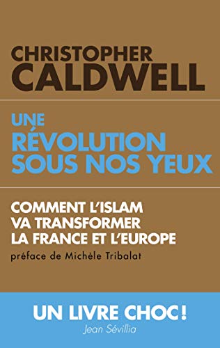 Imagen de archivo de Une rvolution sous nos yeux : Comment l'islam va transformer la France et l'Europe a la venta por Ammareal