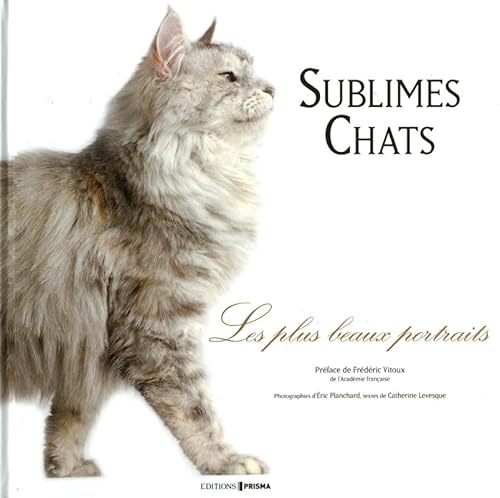 Stock image for Sublimes Chats : Les plus beaux portraits for sale by medimops