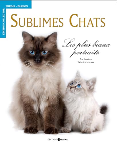 Beispielbild fr Sublimes Chats - Les plus beaux portraits zum Verkauf von Ammareal