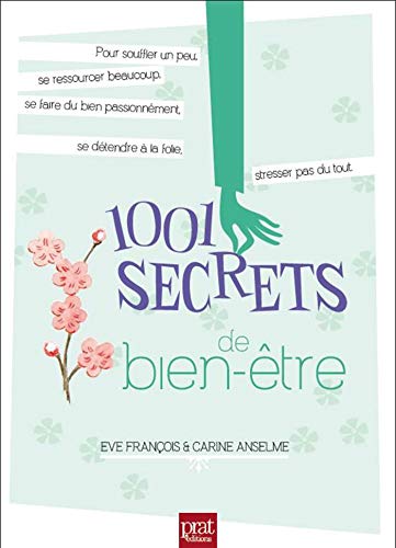 9782810415205: 1001 secrets de bien etre ned