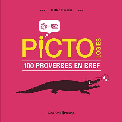 Beispielbild fr Pictologies - 100 proverbes en bref zum Verkauf von WorldofBooks