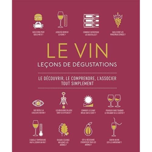 Stock image for Le Vin : leons de dgustation for sale by Librairie Th  la page
